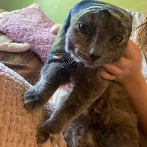 Meet your Posher, Jenna